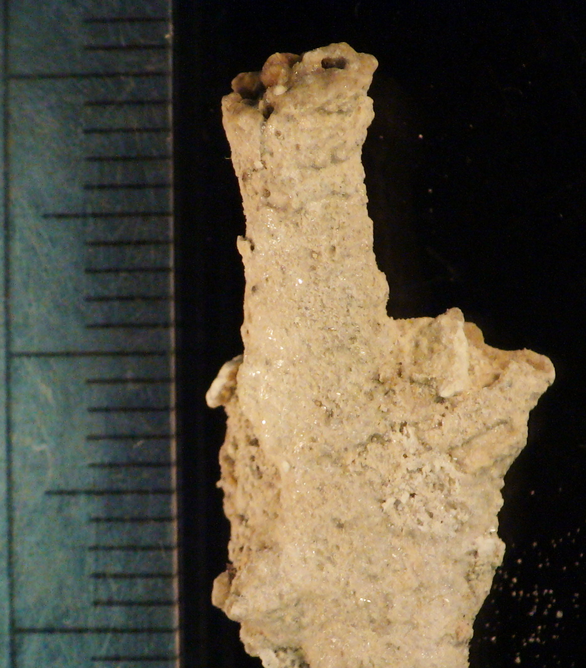 rhizocrop